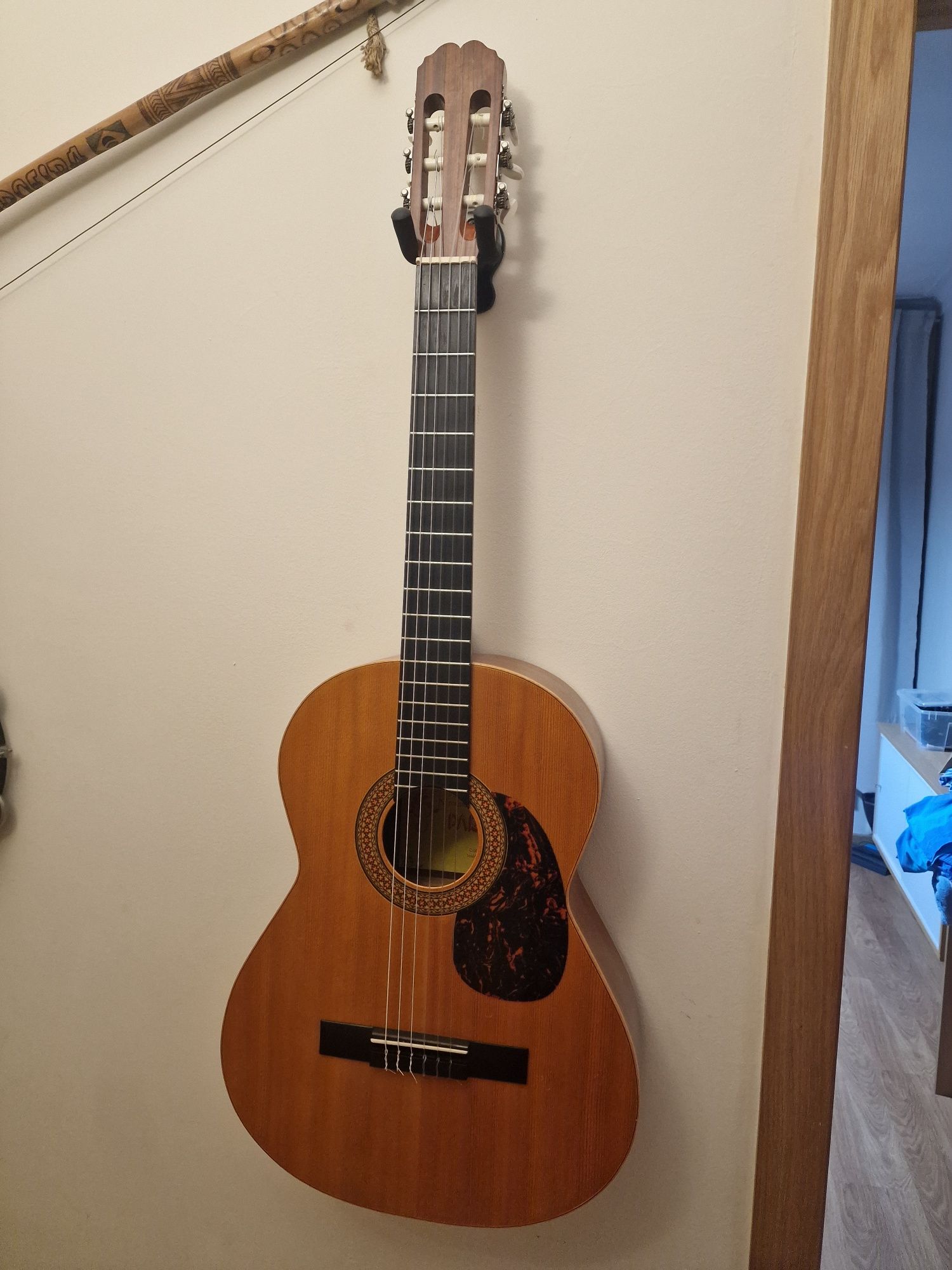 Viola clássica nylon