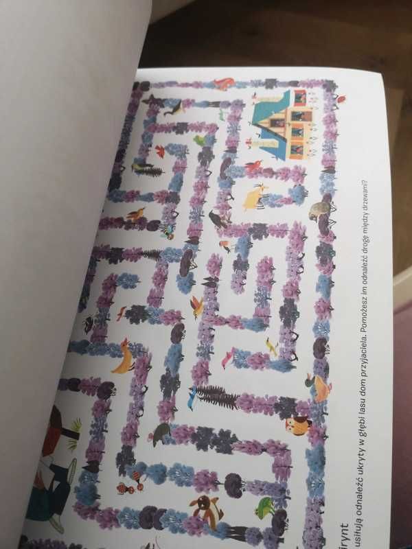 Gry i zabawy Alain Grée książka dla dzieci gry zagadki łamigłówki