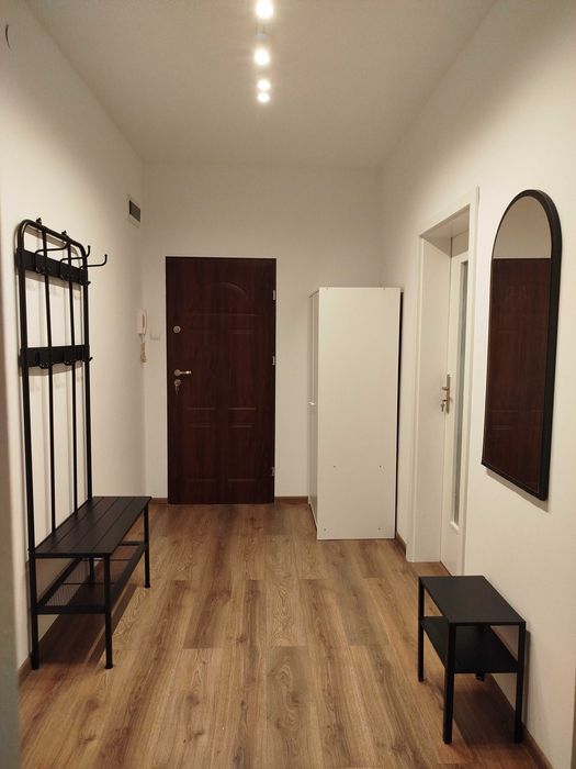 Przestronne mieszkanie w centrum do wynajęcia