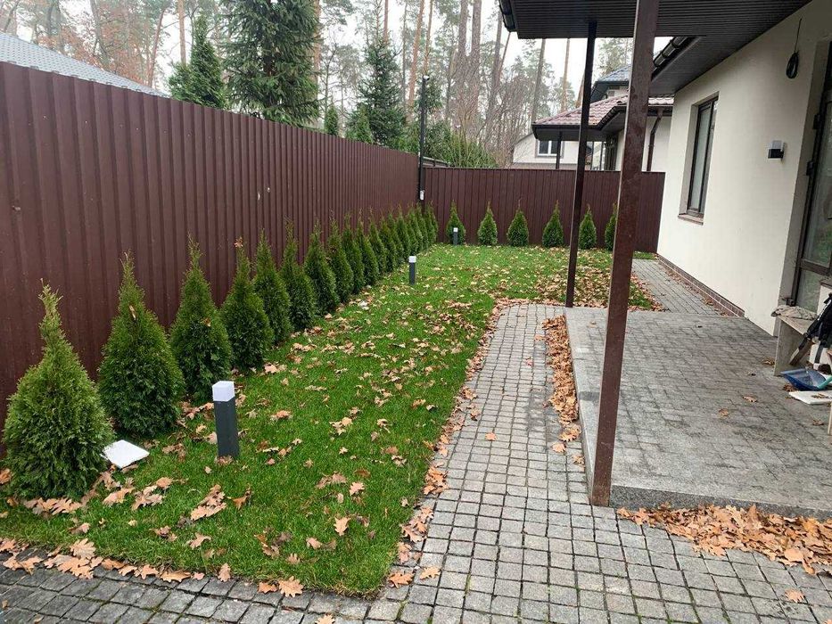 Послуги з обрізання саду та прибирання листя | Буча та район