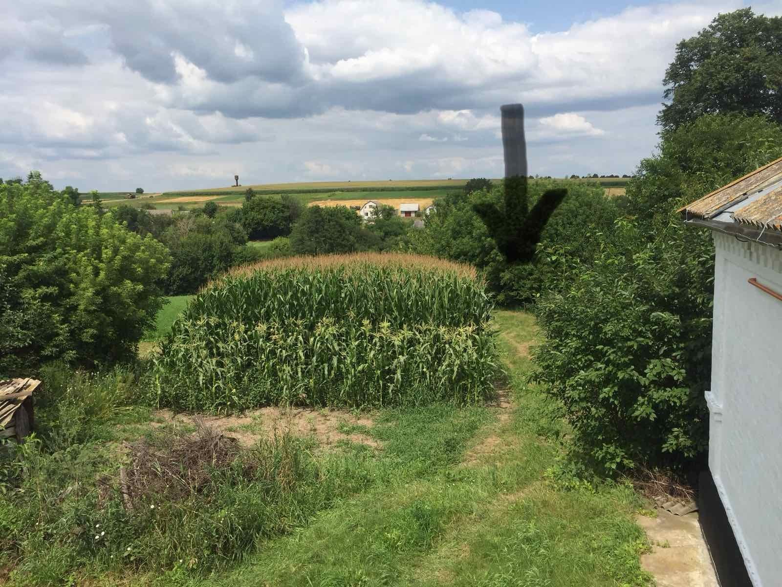 Продається капітальний будинок з великою присадибною ділянкою.