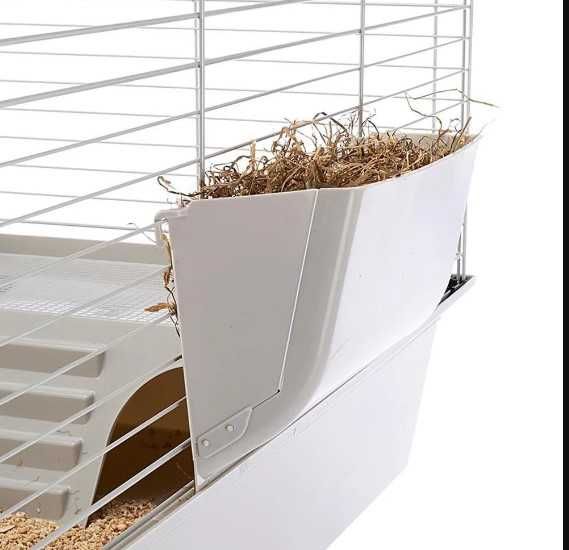 Морская декоративная свинка и свинки Большой выбор +клетки