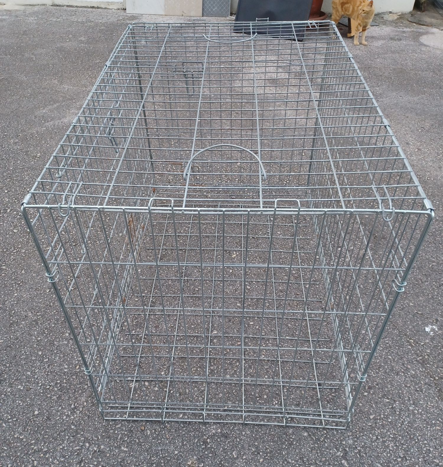 Gaiola (bench) para căo