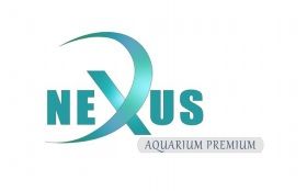 Akwarium 200x70x70 12mm 980L NOWE by NEXUS. Promocja