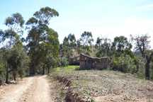 Herdade no Algarve, excelente  para turismo rural, ou Habitação. Tem 1