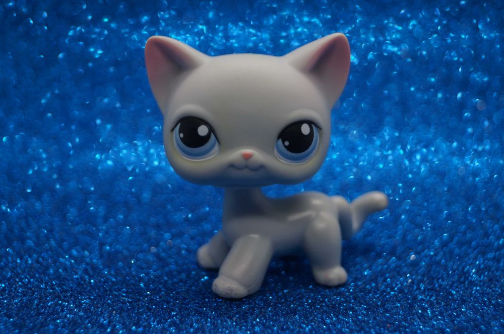 Littlest Pet Shop LPS #246 shorthair oryginalny cat pop Hasbro