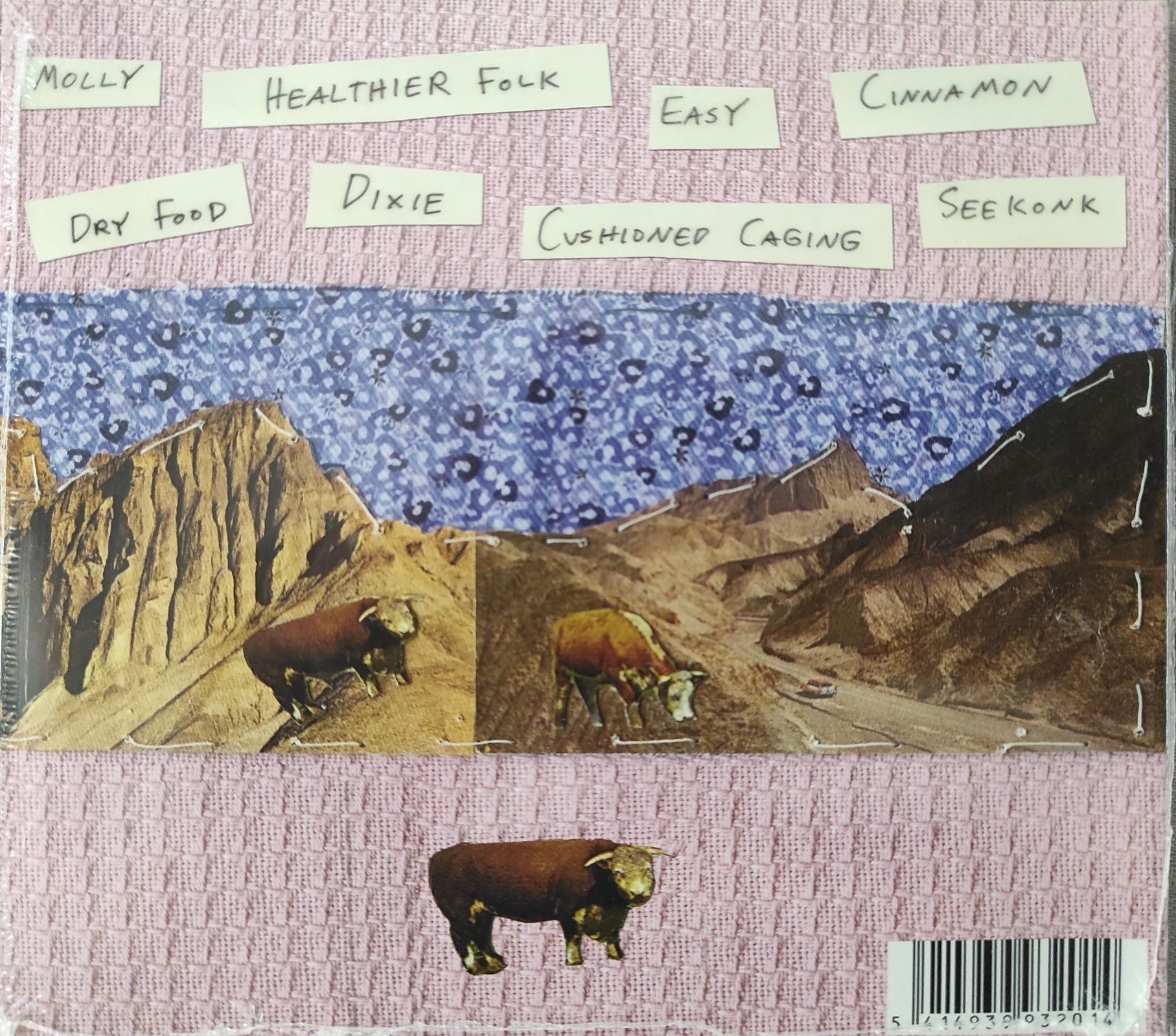 Palehound - Dry Food - CD Novo