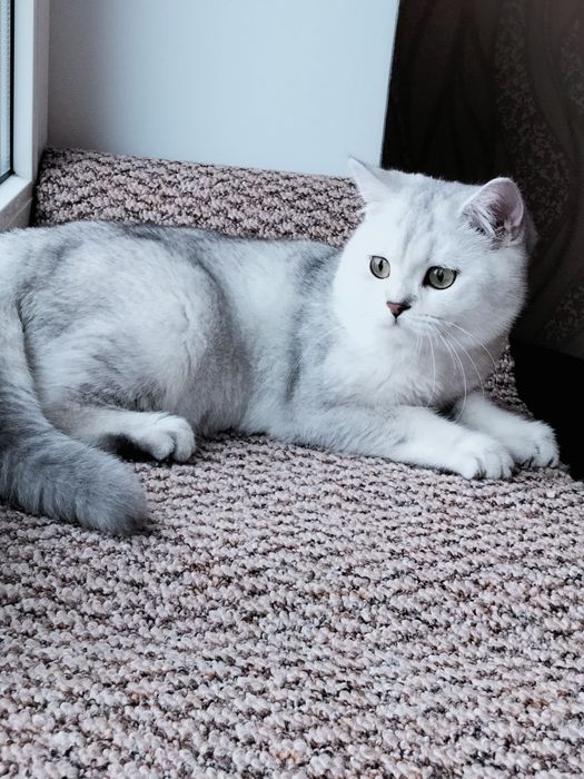 Милый зеленоглазый мальчик.