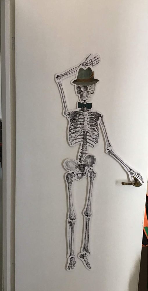 Dois Esqueleto articulado em papel com aproximadamente 1m de altura.