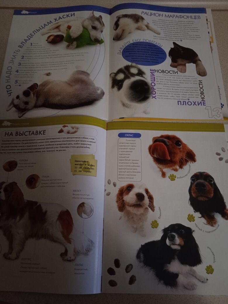Журнали про породи собак