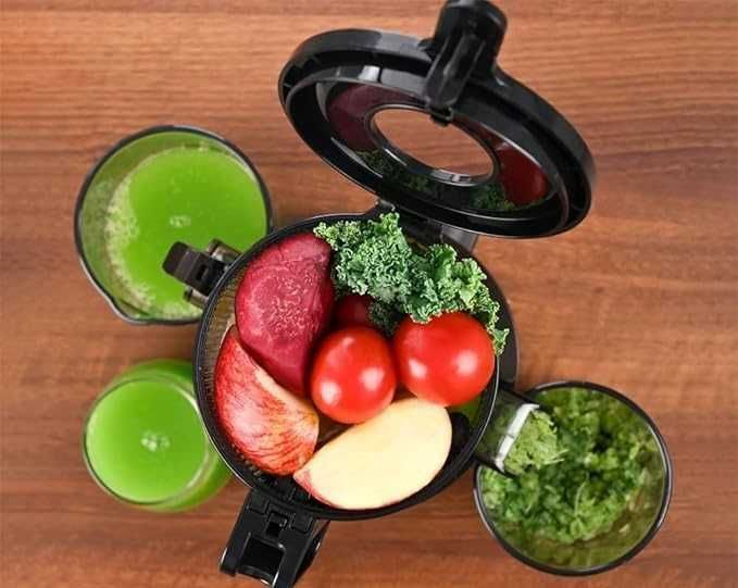 Wolnoobrotowa Wyciskarka Do Soków Napojów Fretta 200W 1L BPA Free