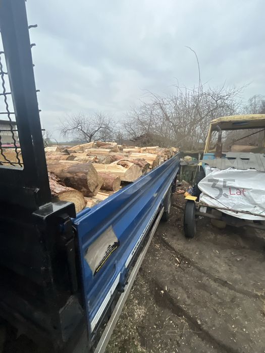 Drewno kominkowe opalowe sosna/dab/buk/jesion/brzoza/owocowe