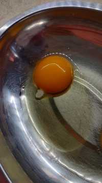 Jaja swojskie z wolnego wybiegu