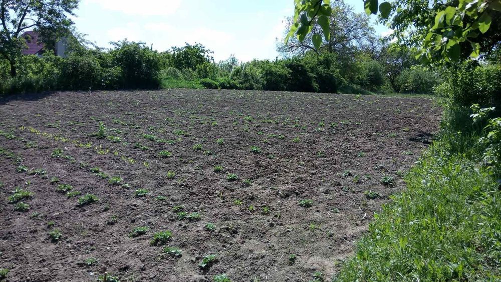 Зімельна ділянка 30 сот. с. Іванковичи під забудову