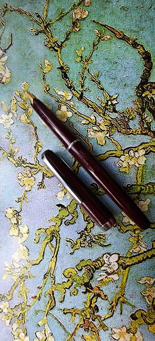 Pióro Wieczne Swan Anglia