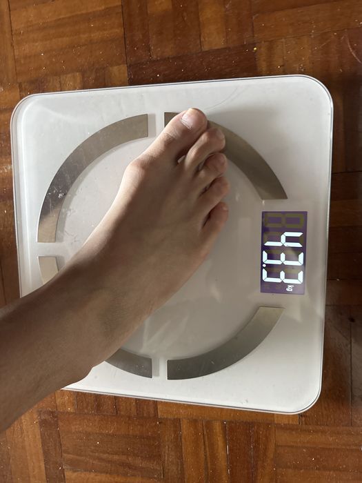 balanca digital novo