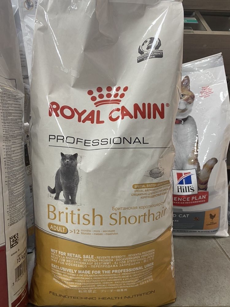Royal Canin British Shorthair 13kg