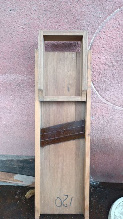 Шатківниця дубова