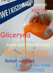 Gliceryna roślina. Robot udojowy. Ketoza. Bydło Beta Karoten