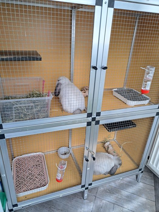 Duża klatka woliera dla szynszyli, królików, fre