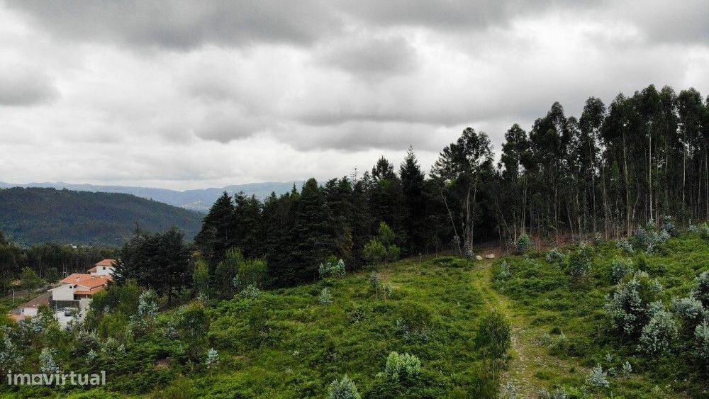 Terreno para Construção, com projeto aprovado para 34 lotes- Vieira do