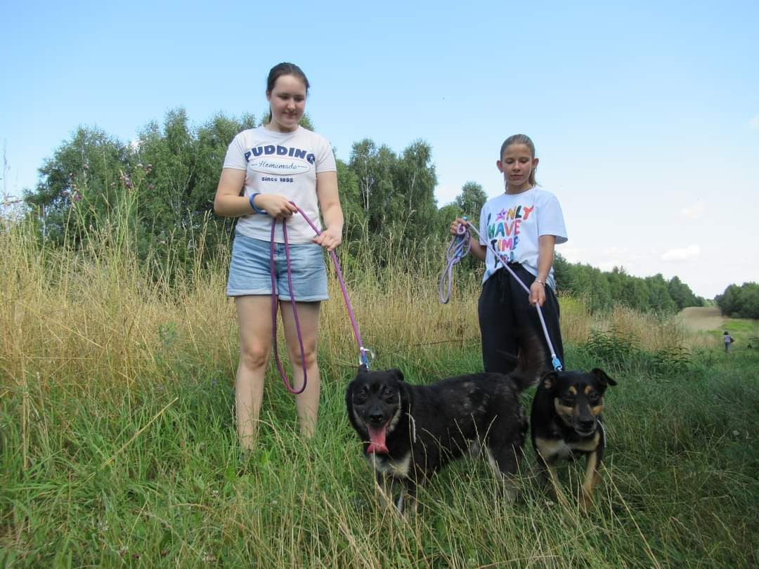 Kochający niewielki Bolek marznie w schronisku PILNE