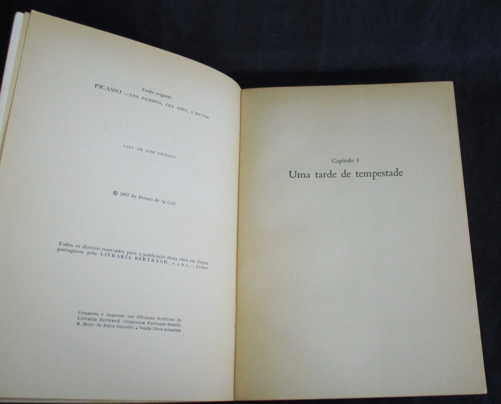 Livro Picasso As mulheres Os Amigos A Obra Jean-Paul Crespelle