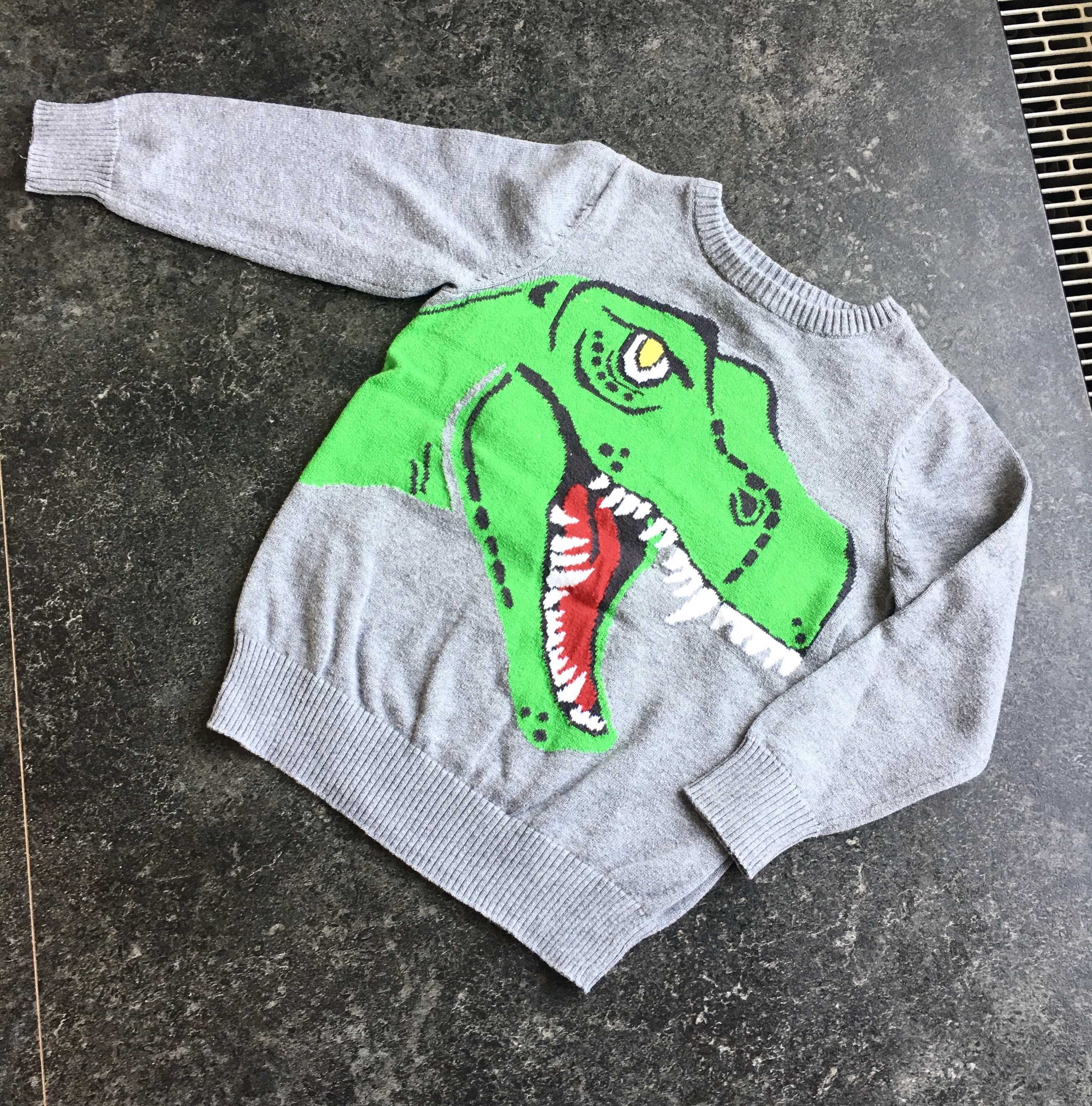 Sweter Dinozaur r. 98