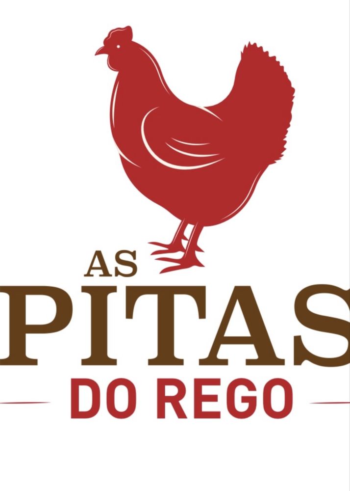 Pintos, galos e galinhas de raca