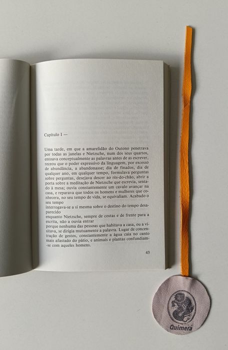 A restante vida, II - da trilogia, Geografia de Rebeldes