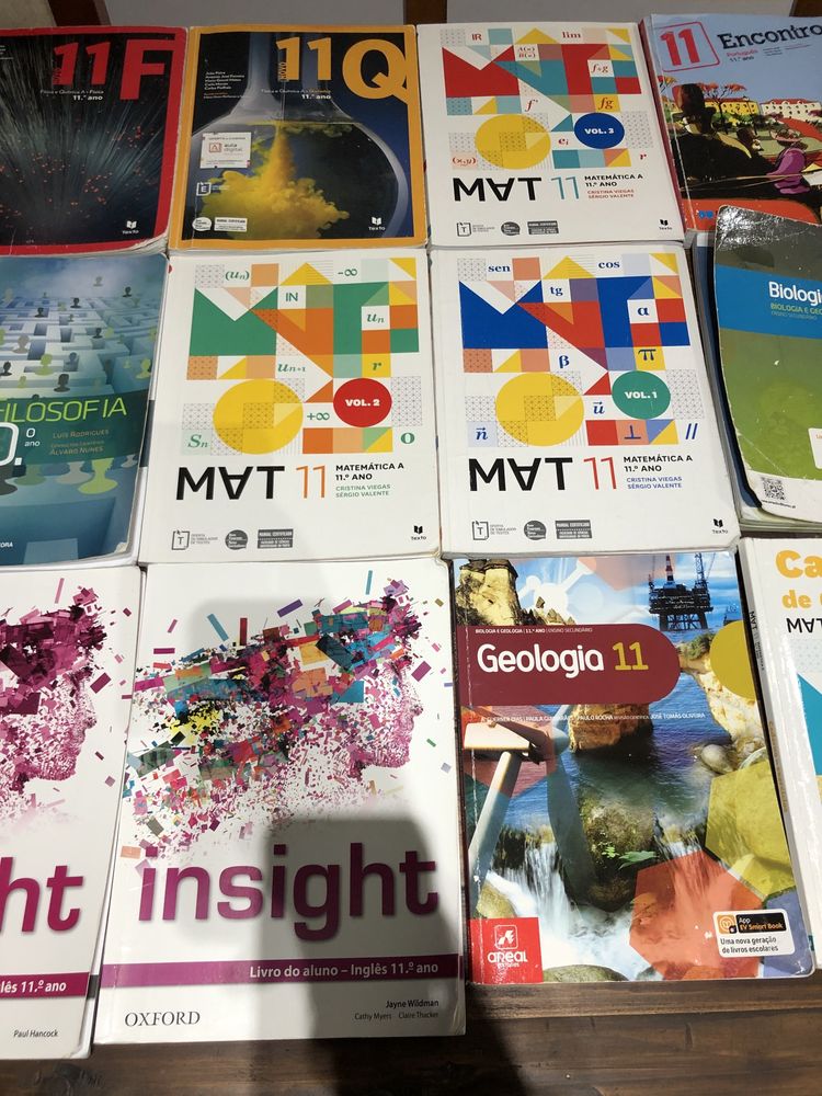 Livros escolares 11 ano