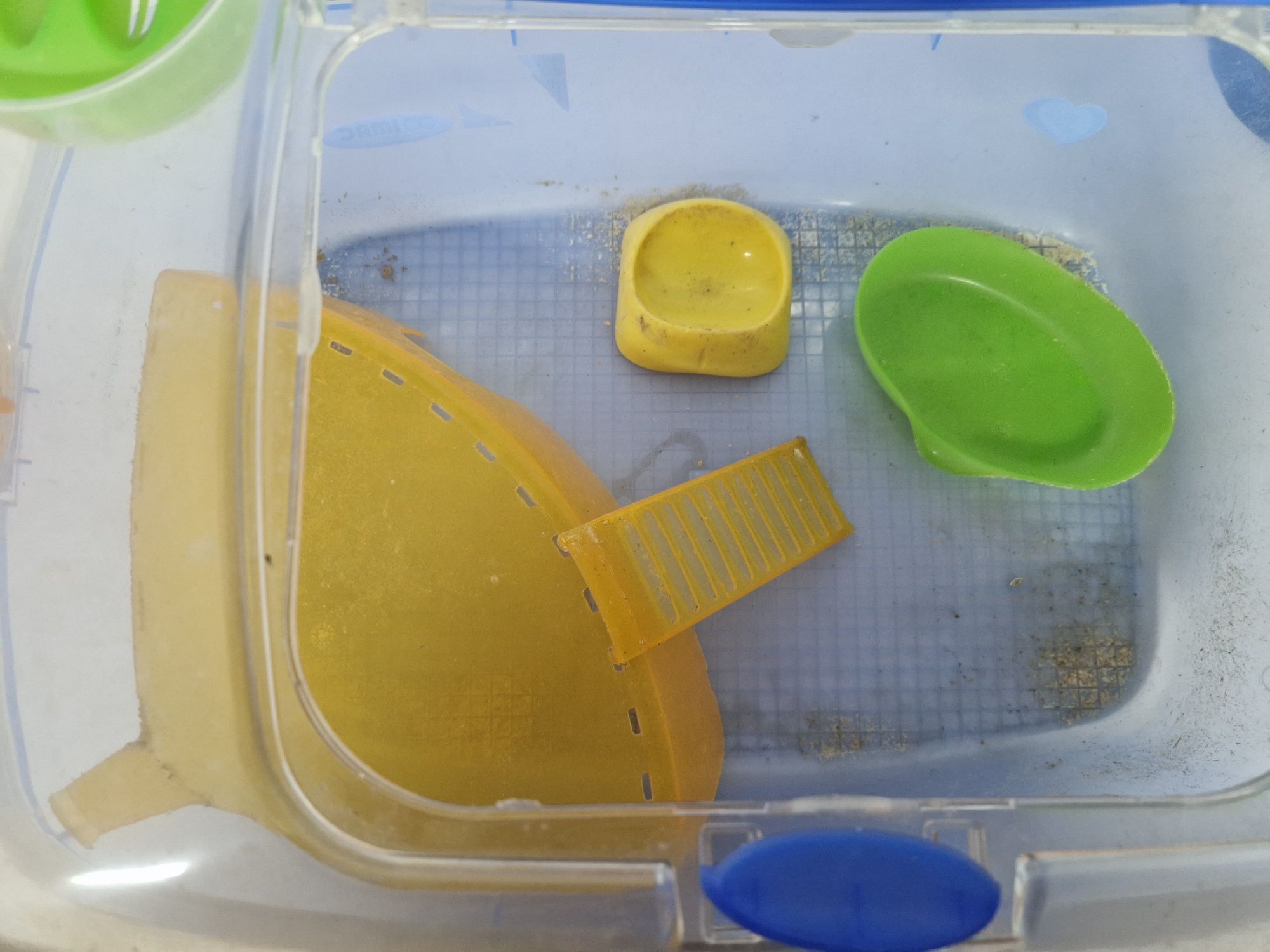 Gaiola hamster usada