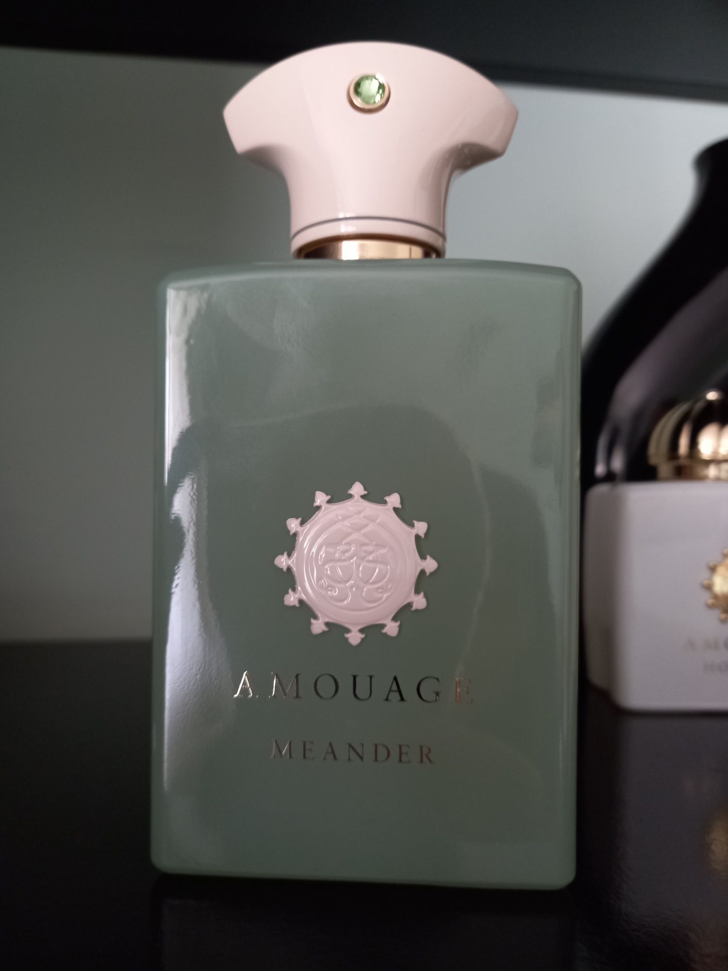 Amouage Guidance, Ashore, Interlude, Honour, Meander, Dia, Reflection