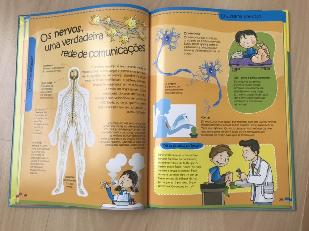 À descoberta do Corpo Humano