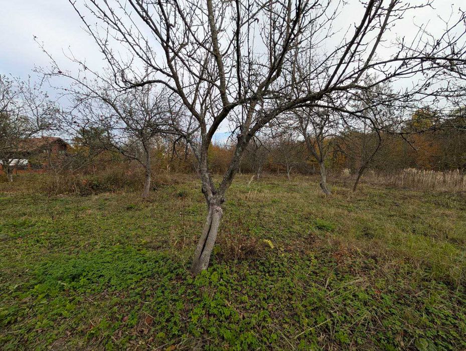 продаж ділянки під будівництво с.Посіч біля лісу