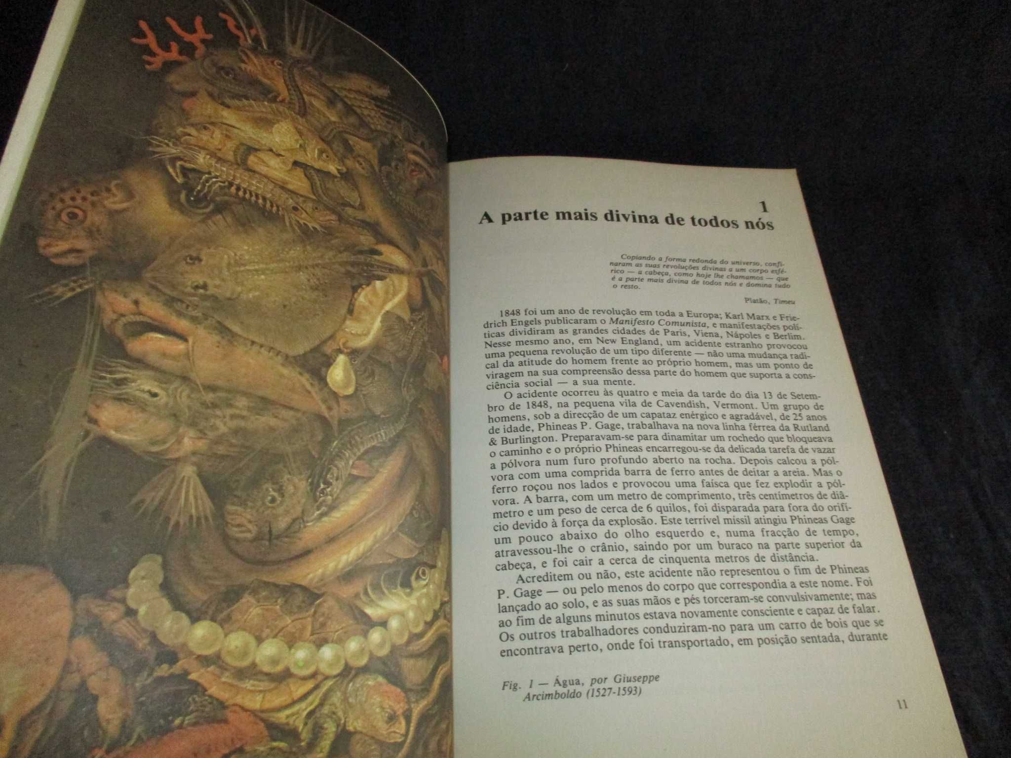 Livro Os Mecanismos da Mente Colin Blakemore