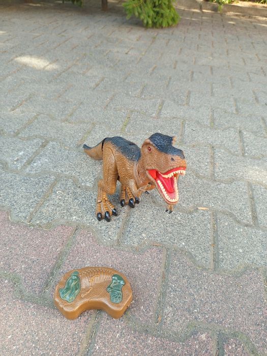 Dinozaur chodzący  Tyrannosaurus rex
