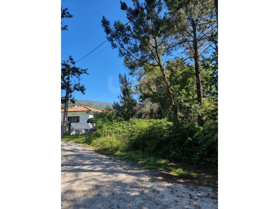 Terreno agrícola com 910 m2 na freguesia de Âncora.