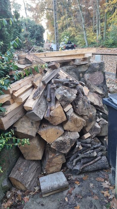 drewno na opał - oddam za darmo