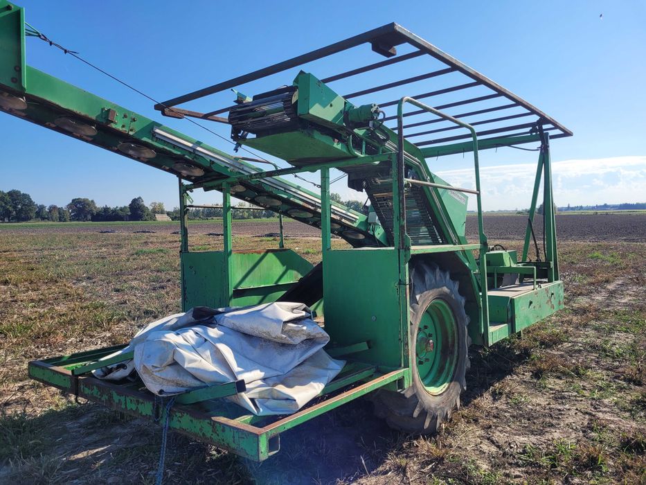 Kombajn VERSTRAETE z Kruszarką do Kalafior brokół