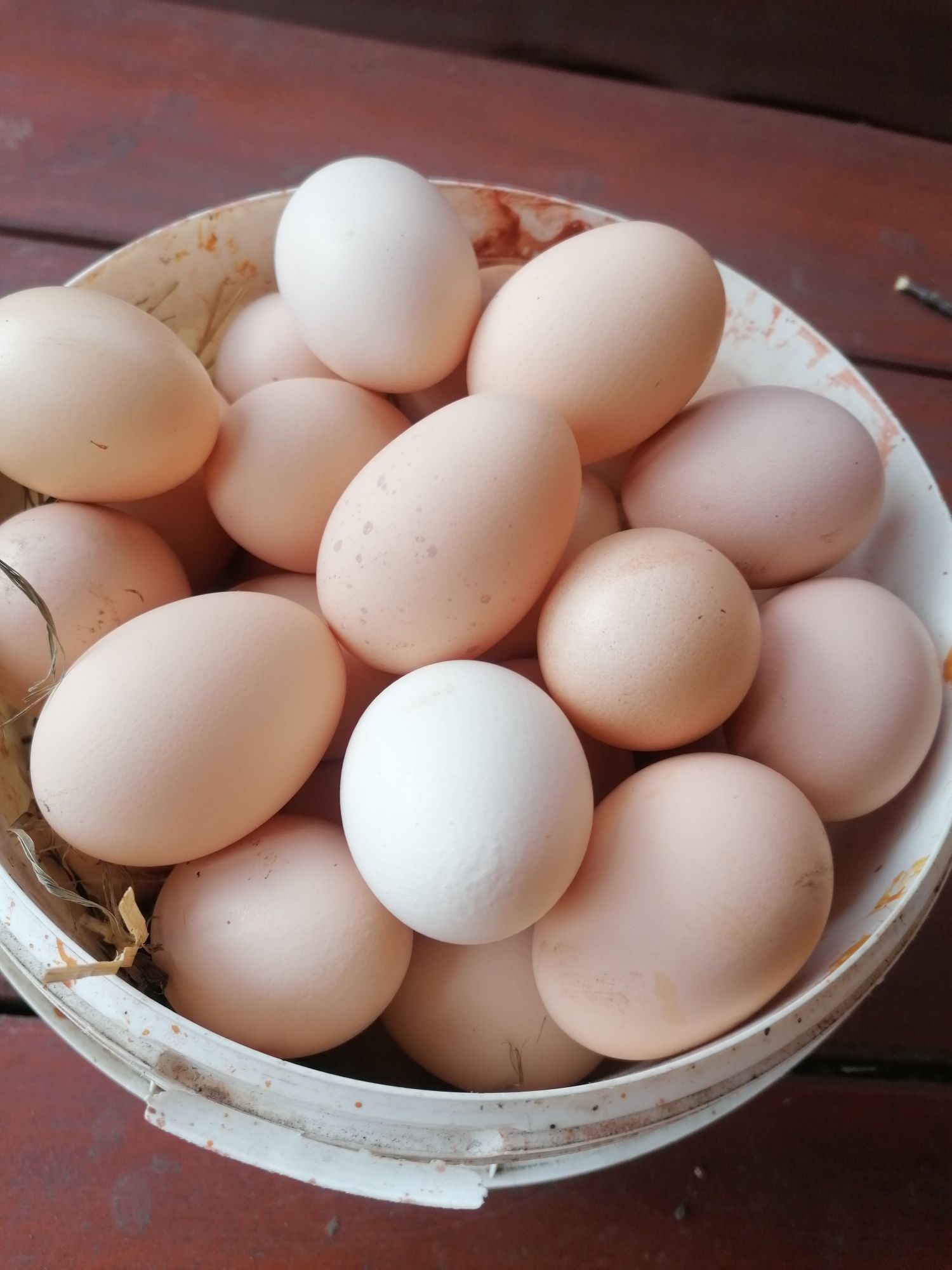 Jajka wiejskiej - ekologiczne