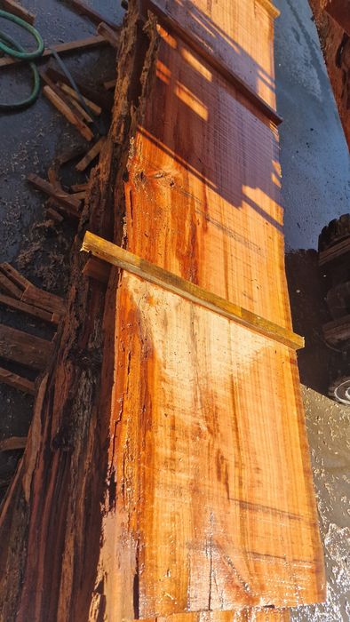 Madeira em prancha de eucalipto vermelho varias grossuras