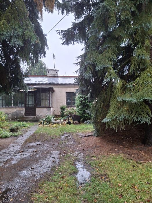 Dom plus budynk gospodarcz do wynajęcia