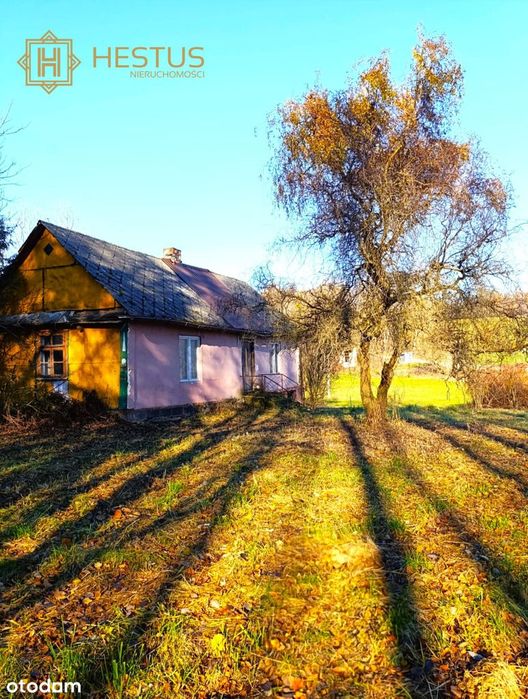 Tanie siedlisko na sprzedaż! Majdan Kobylański