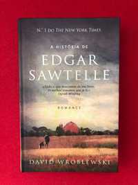 A  história de Edgar Sawtelle - David Wroblewski