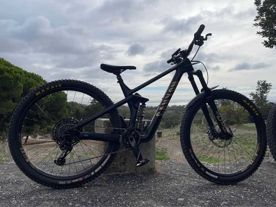 Canyon Strive CF 7 29" M - Fully customized