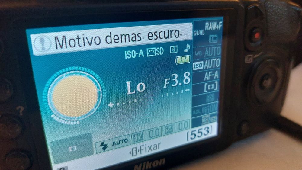 Nikon D3100 + objectiva + mala lowepro