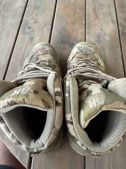 Берци Всесізонні Алігатори