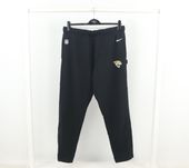 Чоловічі Спортивні Штани Nike NFL