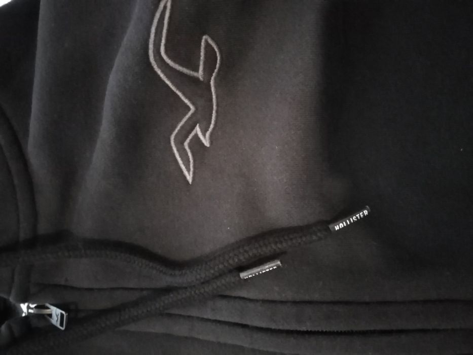 Męska bluza Holister